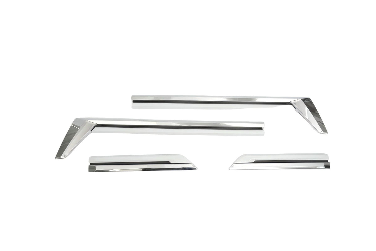 LX600 DOOR STRIPE  LX600