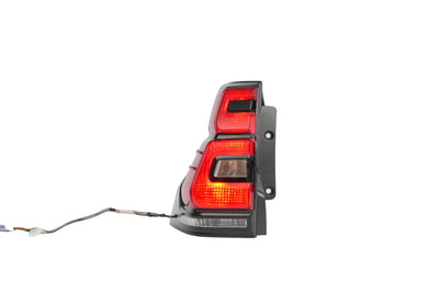 OEM Tail Lamp