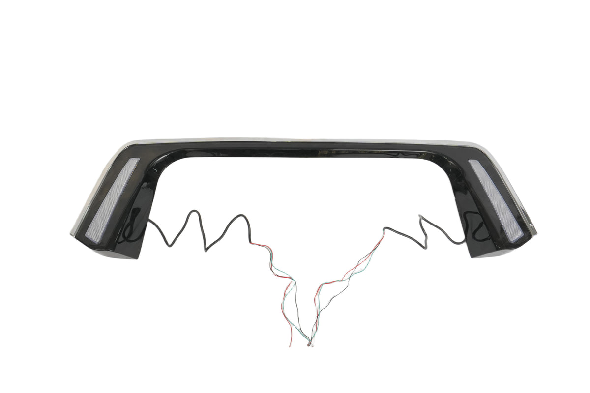 Rear Lincense Plate